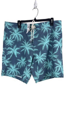 Men’s American Eagle Shorts Size L