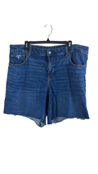 American Eagle Shorts Size 16