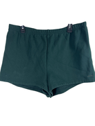 Aritzia Shorts Size XL